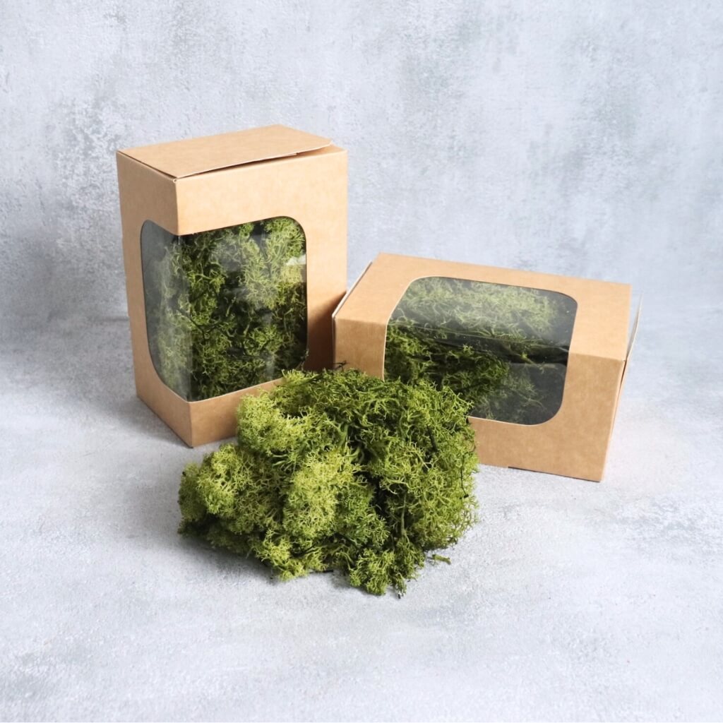 Stabilizovaný mech Moss Reindeer, sobí mech pro interiéry, bezúdržbová přírodní dekorace, mech pro terária, floristiku a mechové obrazy